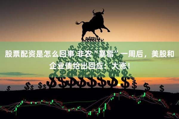 股票配资是怎么回事 非农“暴雷”一周后，美股和企业债给出回应：大涨！