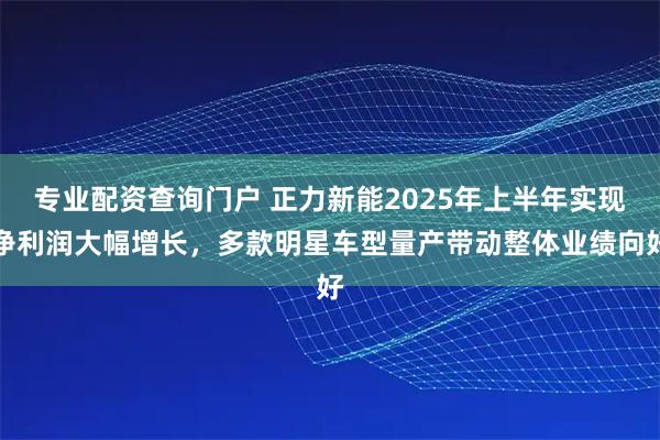 专业配资查询门户 正力新能2025年上半年实现净利润大幅增长，多款明星车型量产带动整体业绩向好