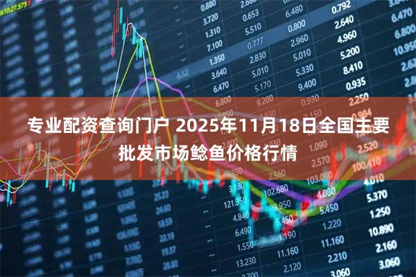 专业配资查询门户 2025年11月18日全国主要批发市场鲶鱼价格行情