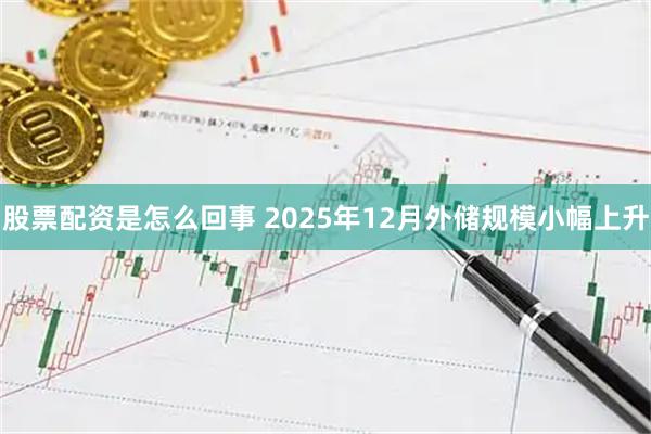 股票配资是怎么回事 2025年12月外储规模小幅上升